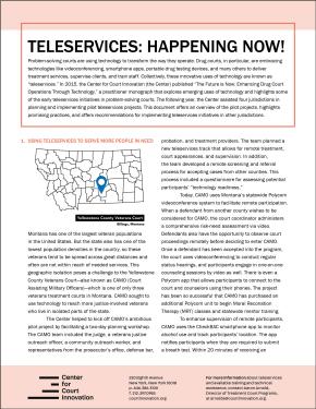 Teleservices: Happening Now! Using Technology to Enhance Drug Treatment Courts