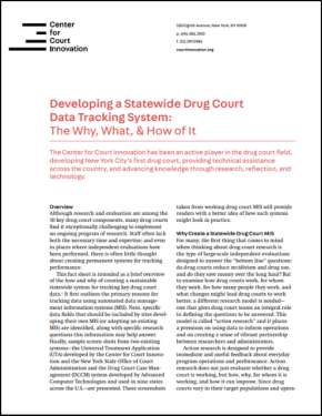 Developing a Statewide Drug Court Data Tracking System