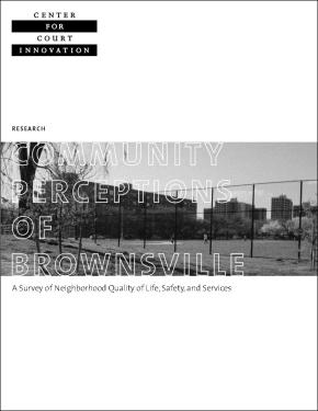 Community Perception of Brownsville