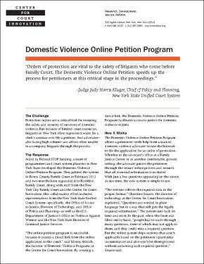 Domestic Violence Online Petition Program