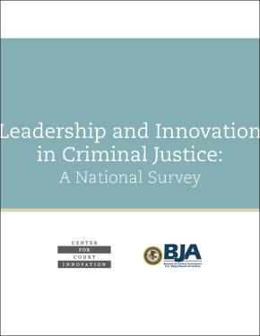 Leadership and Innovation in Criminal Justice: National Survey
