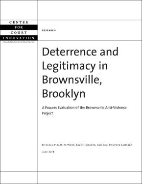Deterrence and Legitimacy in Brownsville, Brooklyn
