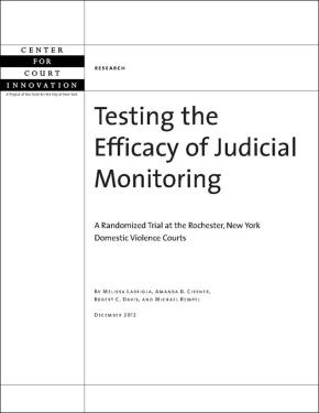 Testing the Efficacy of Judicial Monitoring