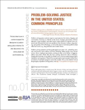 Problem Solving Common Principles