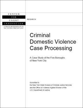 Criminal DV Case Processing