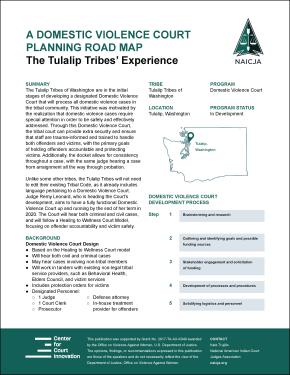 Cover of report "Domestic Violence Court Planning Road Map: The Tulalip Tribes’ Experience"