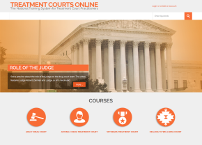 Treatment Court online learning