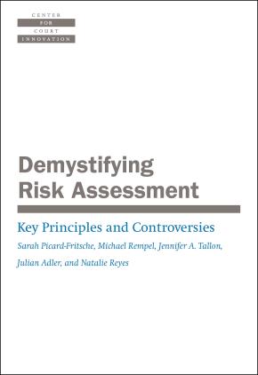 Demystifying Risk Assessment: Key Principles and Controversies