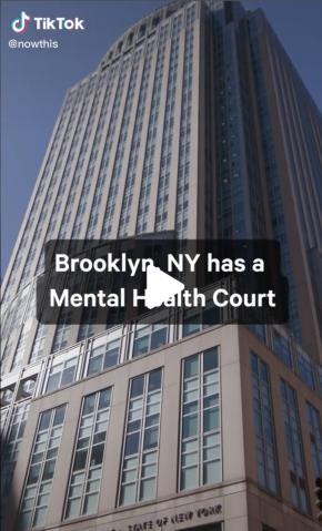 The Brooklyn Courthouse