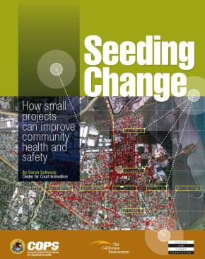 Seeding Change: How Small Projects Can Improve Community Health and Safety